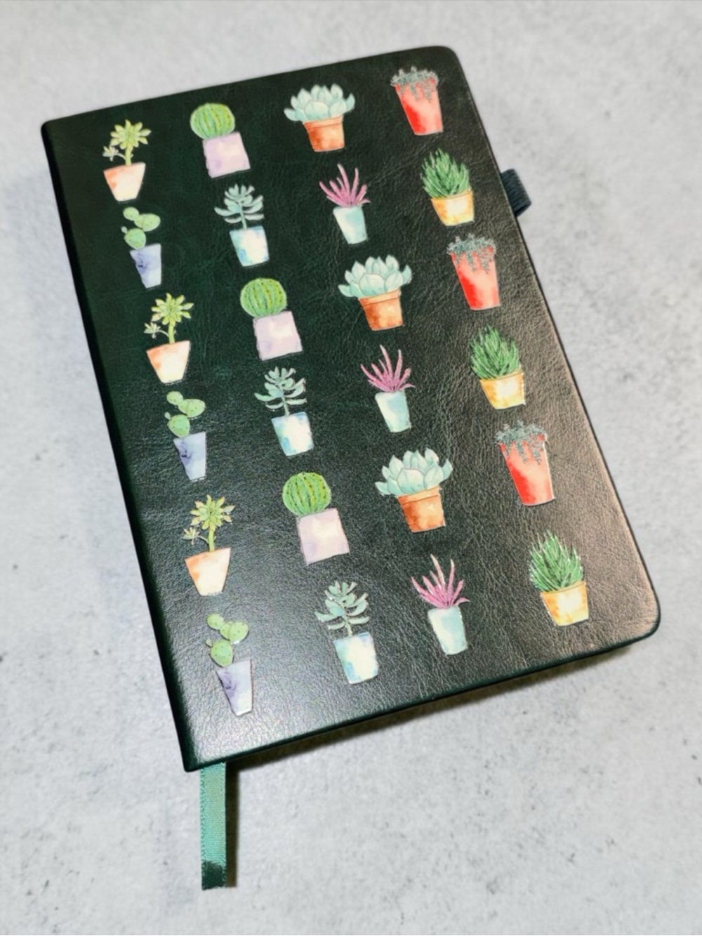 Green Succulent Notebook